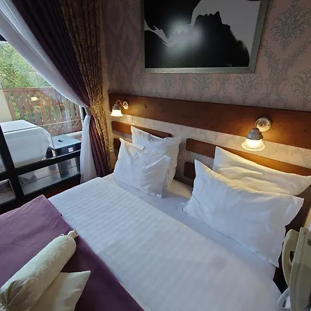 Hotel Zolota Pidkova&river 1 4*