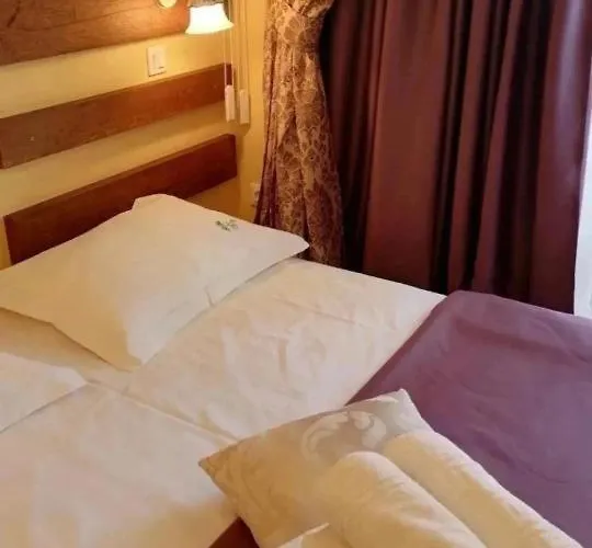 Zolota Pidkova Karpat 4*